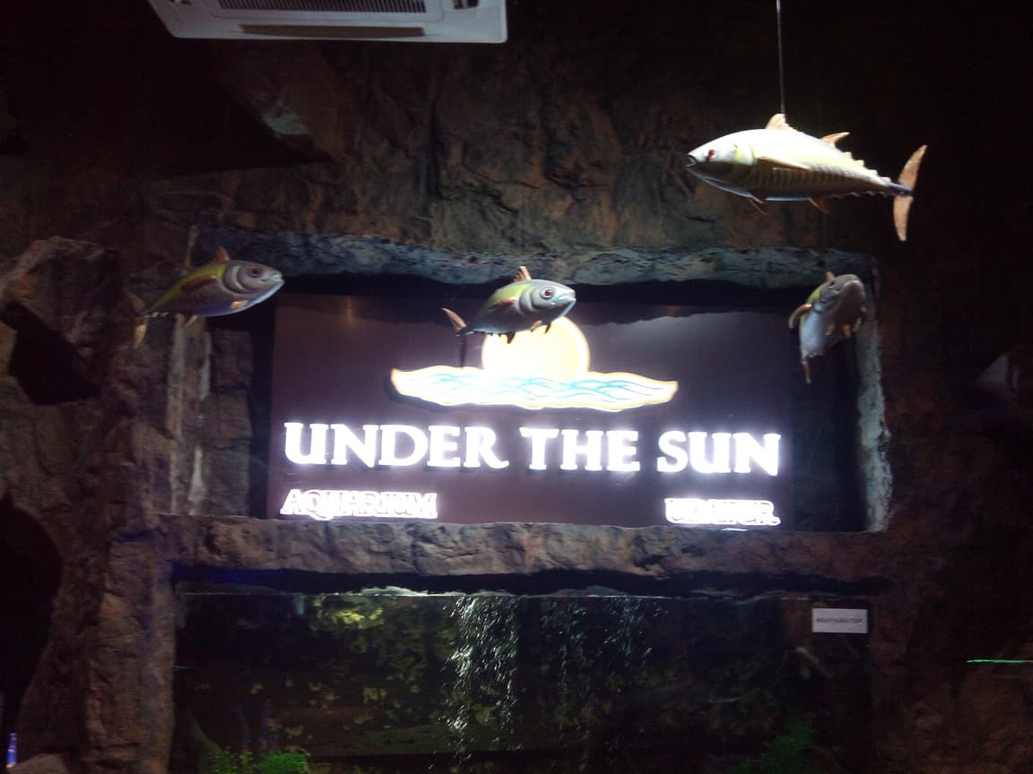 Under The Sun Aquarium