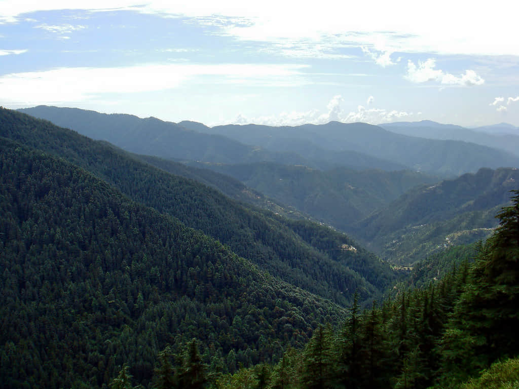 Green Valley, <em>Shimla</em>
