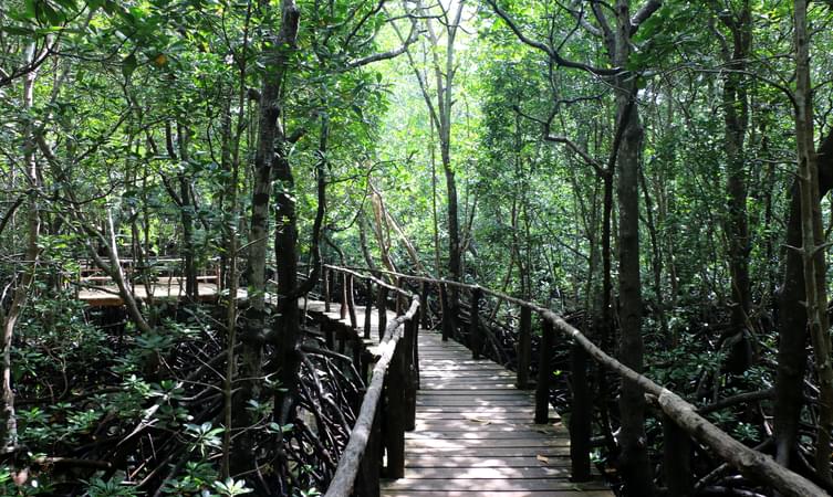 Jozani Chwaka Bay National Park