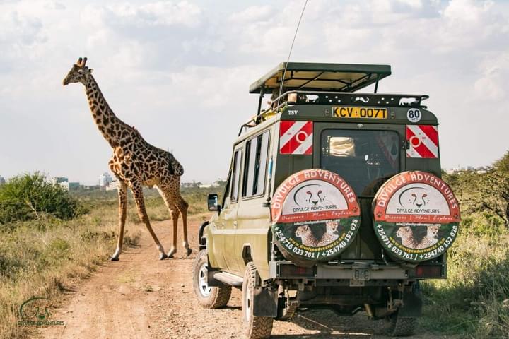 Take the Jeep Safari at Nairobi National Park