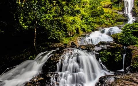 Trekking in South Coorg