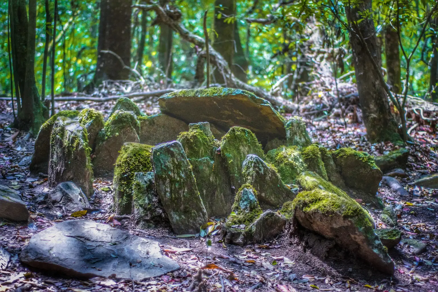 <em>Meghalaya</em> Tour Packages From Visakhapatnam