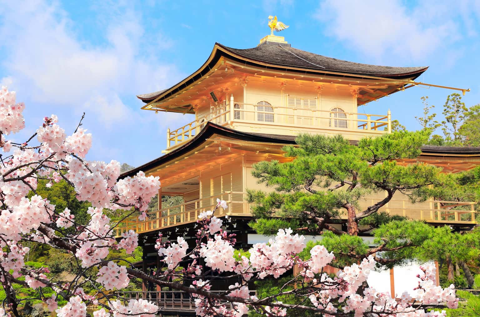 Scenic Getaway to Japan | A Fusion of Ancient Traditions & Modern Wonders