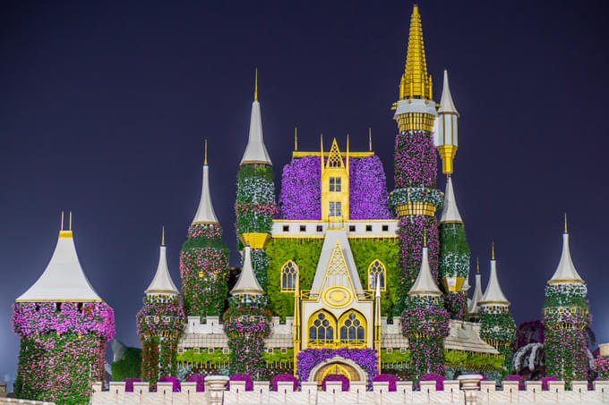 Dubai Miracle Garden at Night