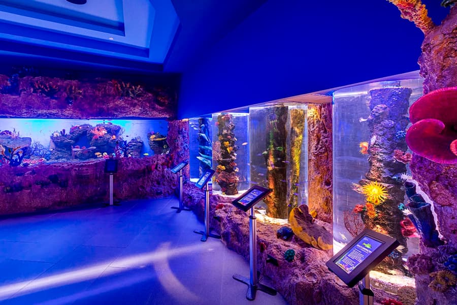 Cebu Ocean Park Tickets Image