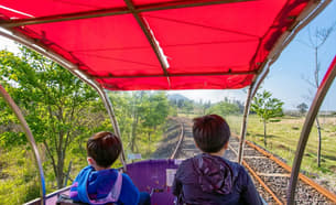 Ssty9hhkzi2t1fbpxa6vixjux5jg 1597347545 222