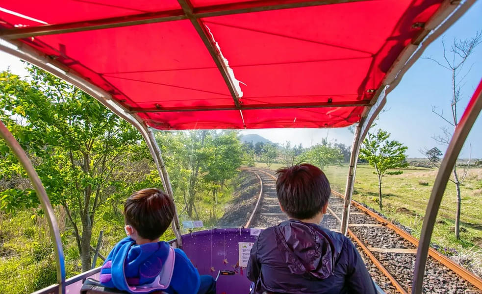 Rail Bike Experience in Jeju Image