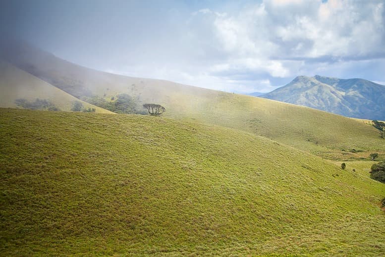 Mukurthi Trek In Ooty Image