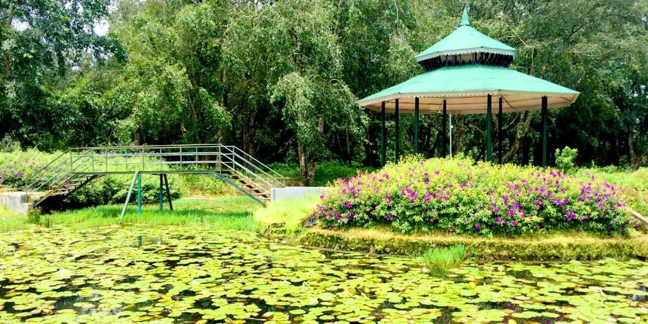 ﻿﻿Hydel Park Overview