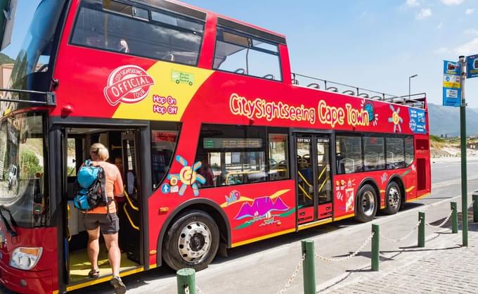 Things To Do In Cape Town With Kids