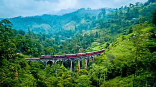 Su01rl5kopztr8tunh30j7l27907 1597146263 shutterstock 1084348016