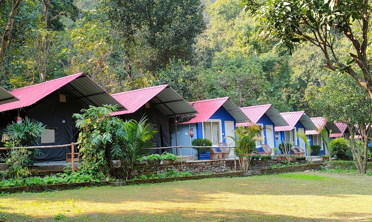 Luxury Camping in Rishikesh