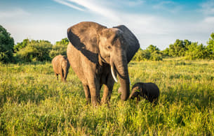 Sulho2wwomtzcs8vfy7yuot4stdl dl.beatsnoop.com 3000 lcbwnq6i8k