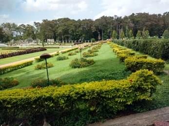 Indulge in Photography and Leisure Walks