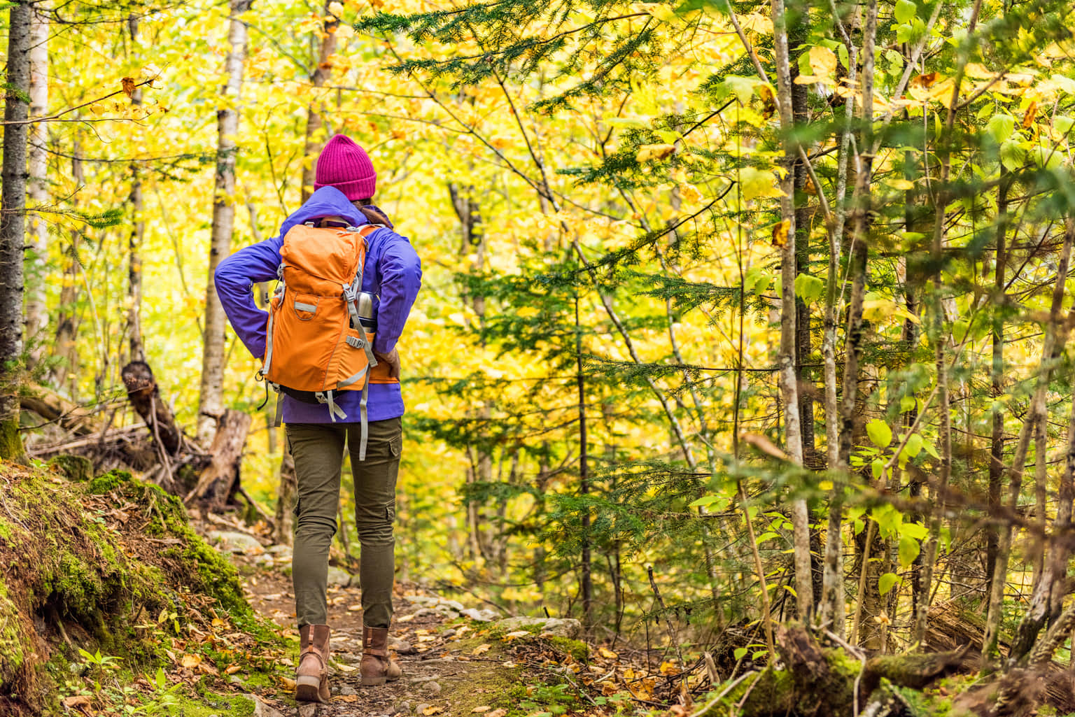 Best Autumn Treks Tours
