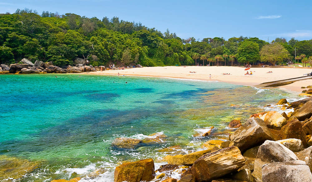 Shelly Beach, <em>Sydney</em>
