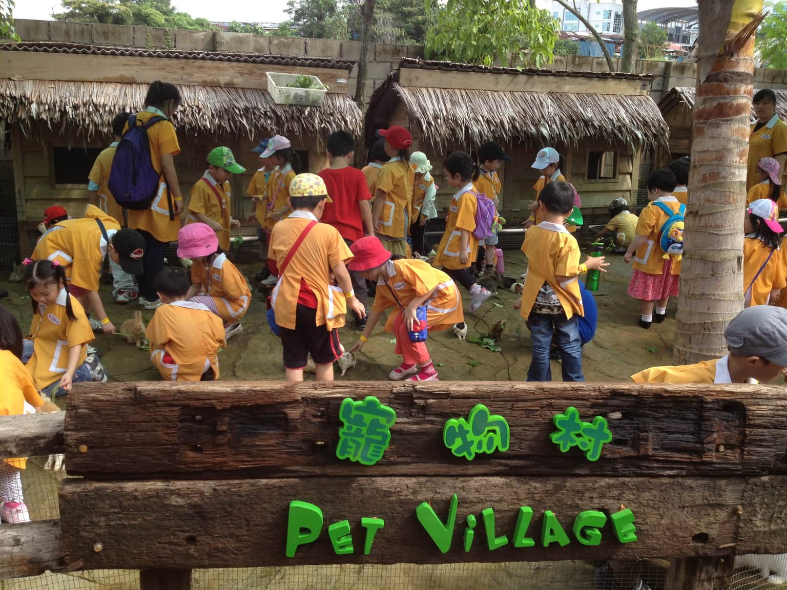 Pet Village