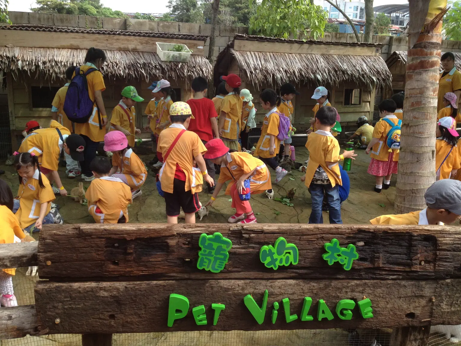 Pet Village