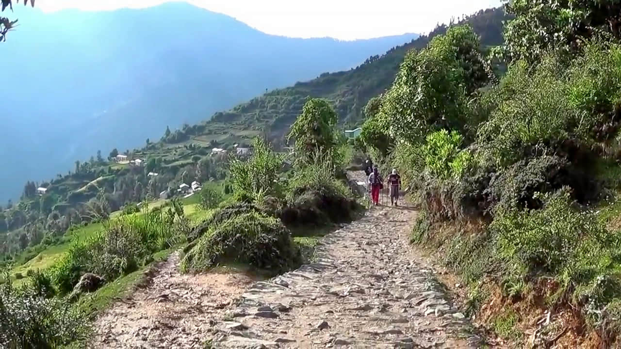 Photo from Himadri Bhat's trip