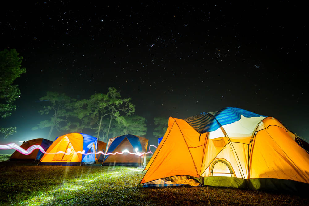 New Year Special: Camping Experiences