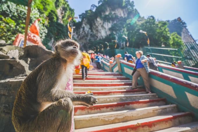 Batu Caves Temple