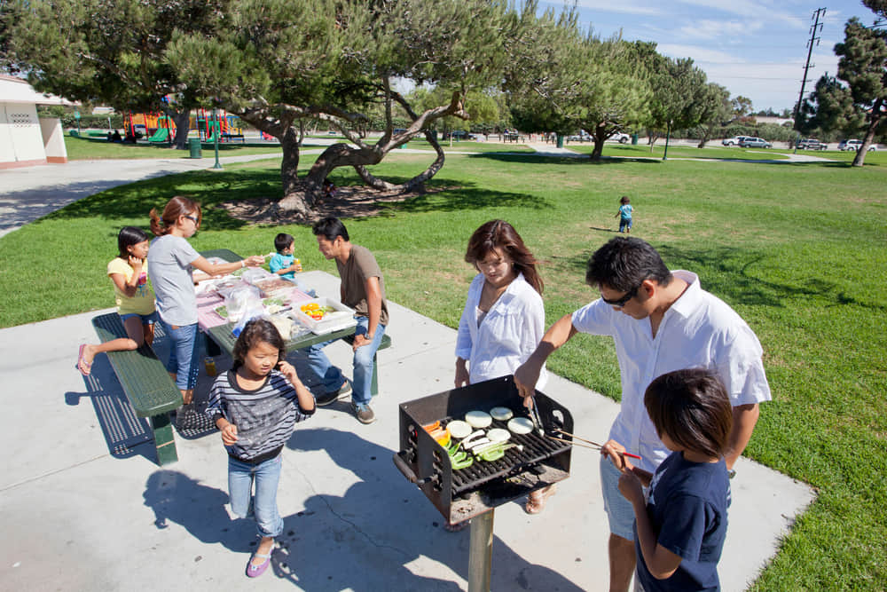 Indulge in barbecuing