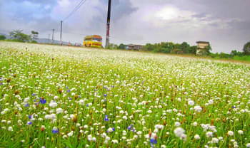 Swxp9b6mcff3obpn6c1m0dcu6ykm 1550737194 madayippara 2c kannur by manoj karingamadathil.jpg