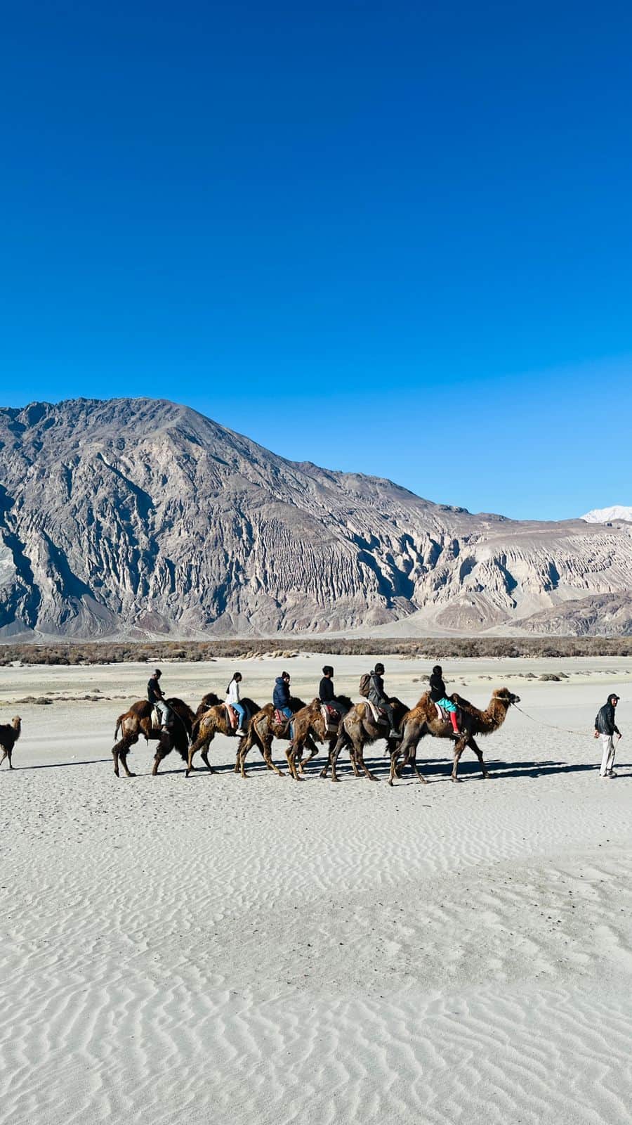Photo from PARESHBHAI BHIKHABHAI RABARI's trip