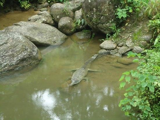 Visit the Reptile and Amphibian Zone