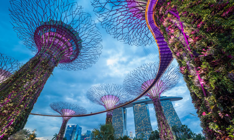 Close up view of Gardens By The Bay