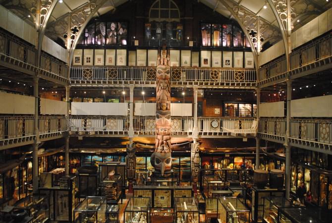 The Pitt Rivers Museum
