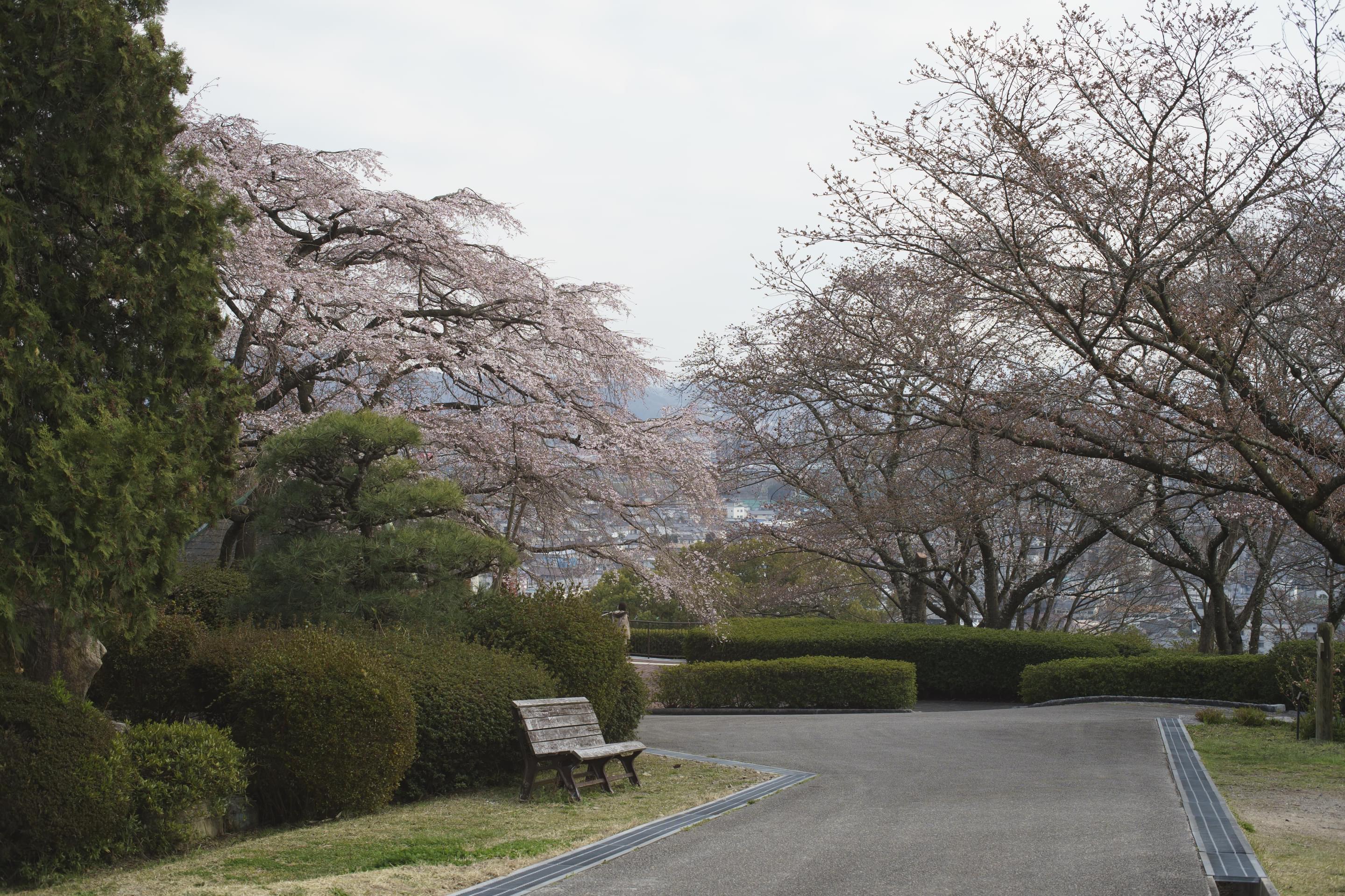 Handayama Botanical Garden Overview