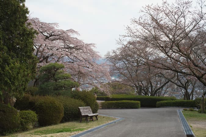 Handayama Botanical Garden