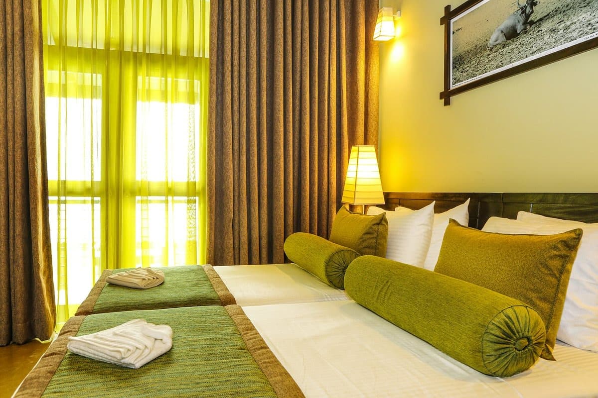Oak Ray Wild Yala