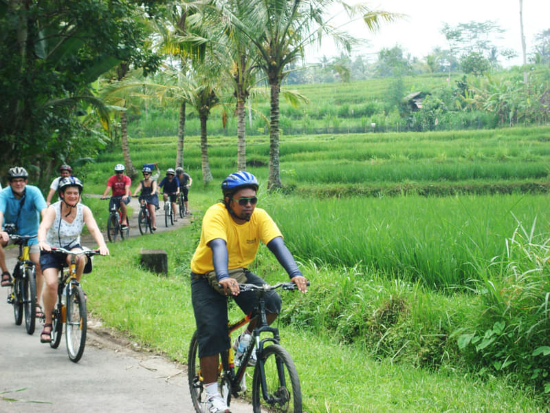 Ubud Cycling Tour Image