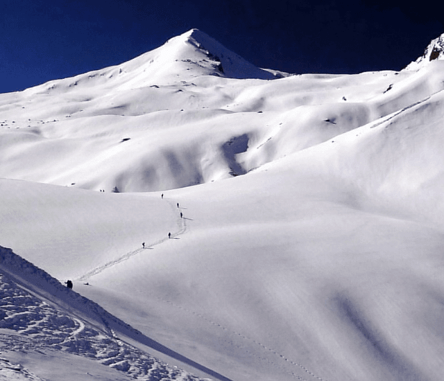 Pangarchulla Peak Trek