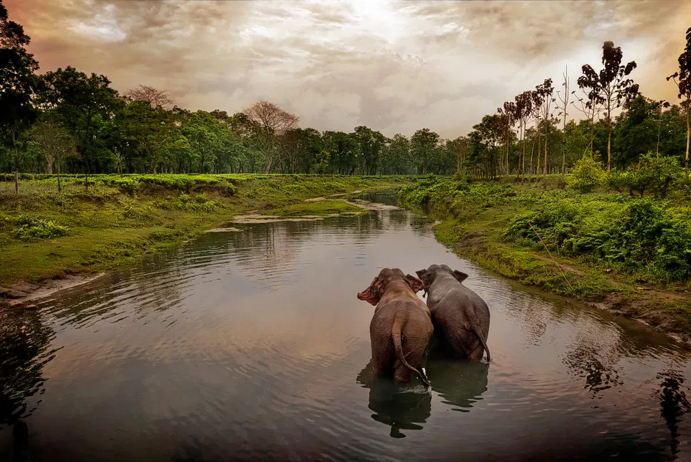Barpeta