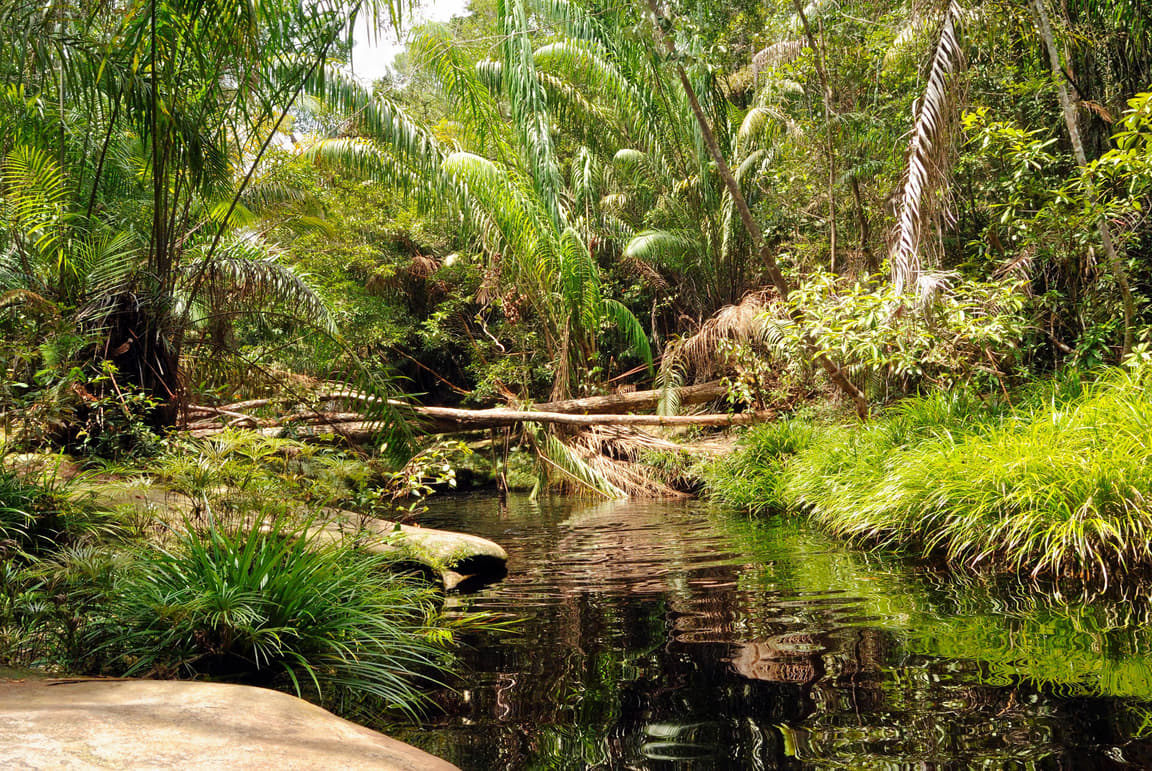Butterfly And Reptile Park