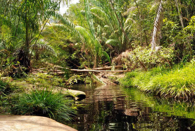 Butterfly And Reptile Park