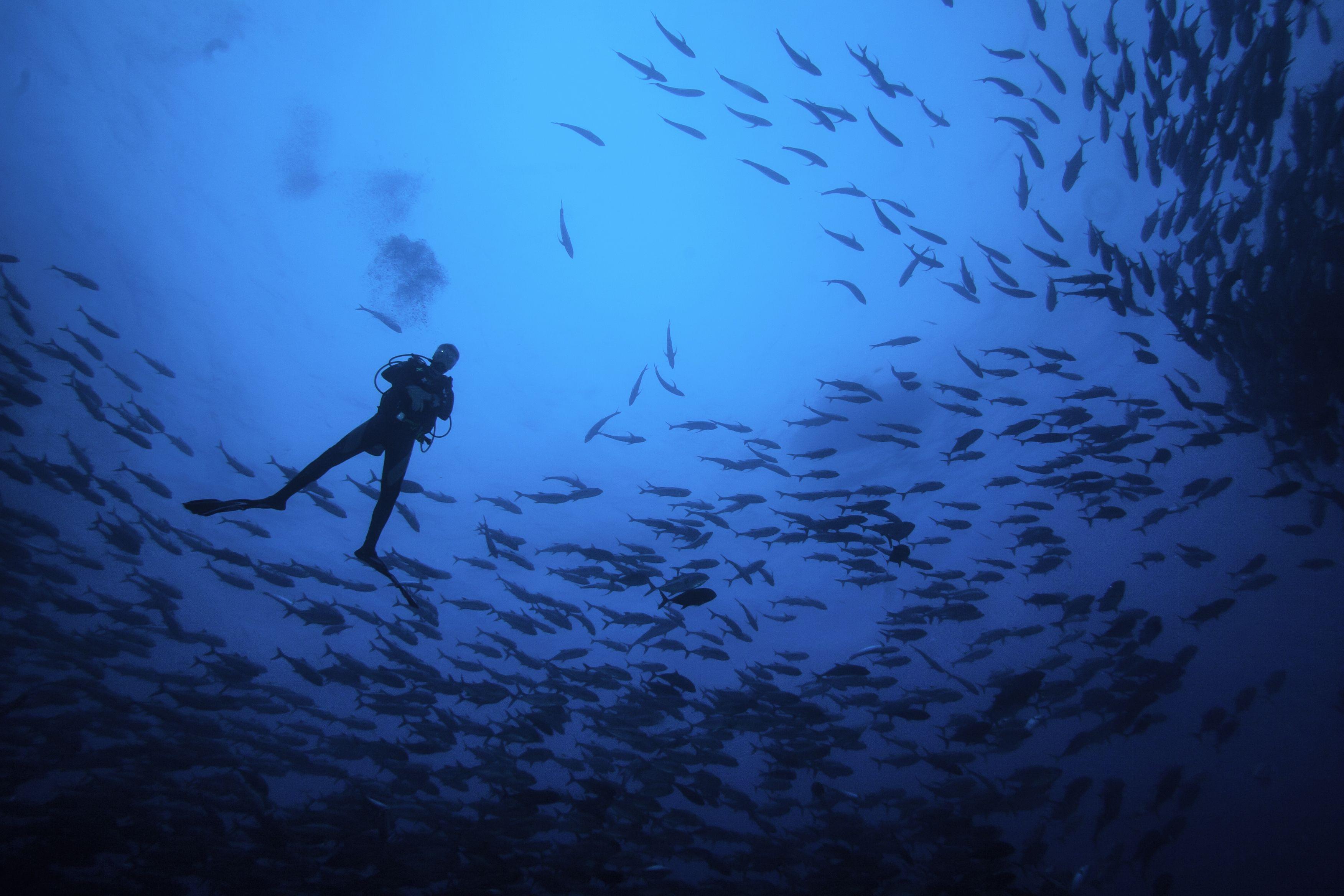 Diving in Deep Sea