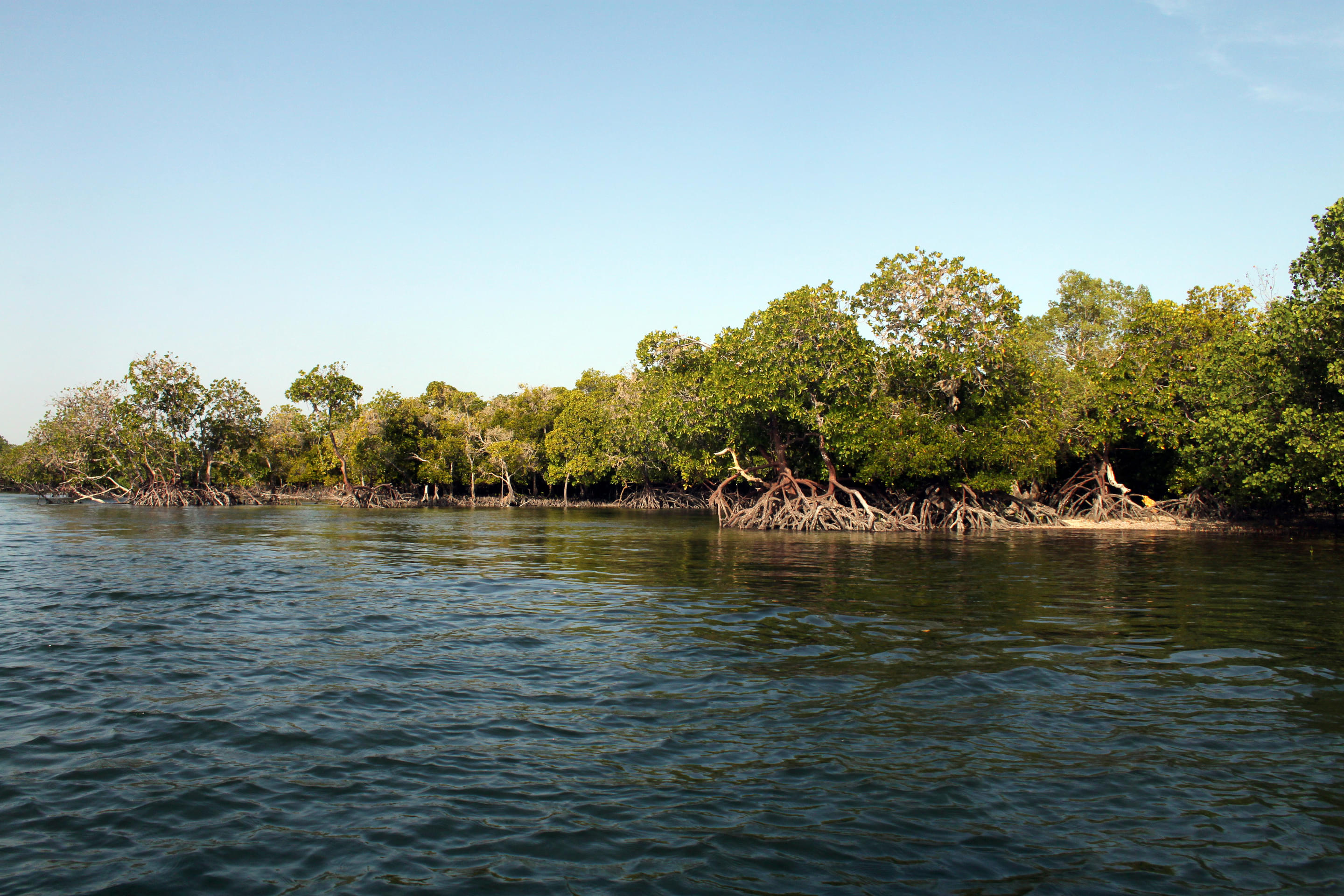 Mida Creek, Watamu Overview