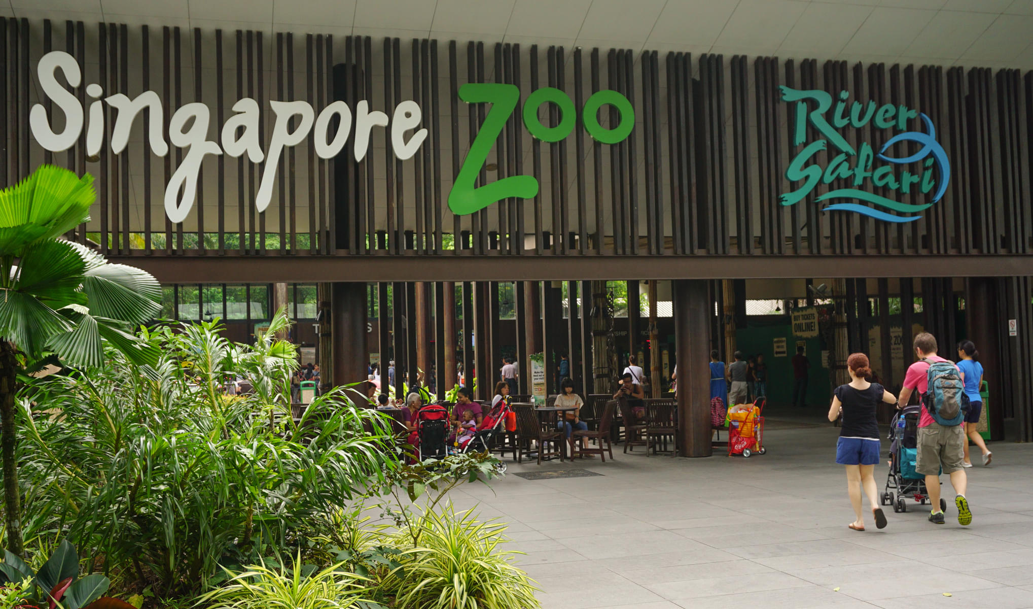 See over 2800 animals in Singpore Zoo section