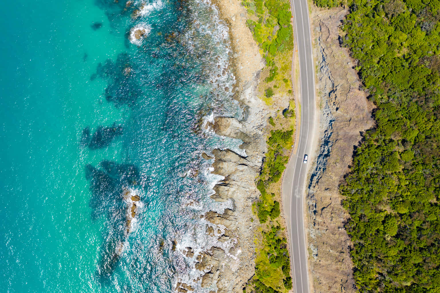 Great Ocean Road Tour from Melbourne