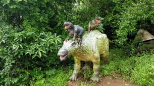 T14hv62dcy0mi8gfwxttp55lx17g dino