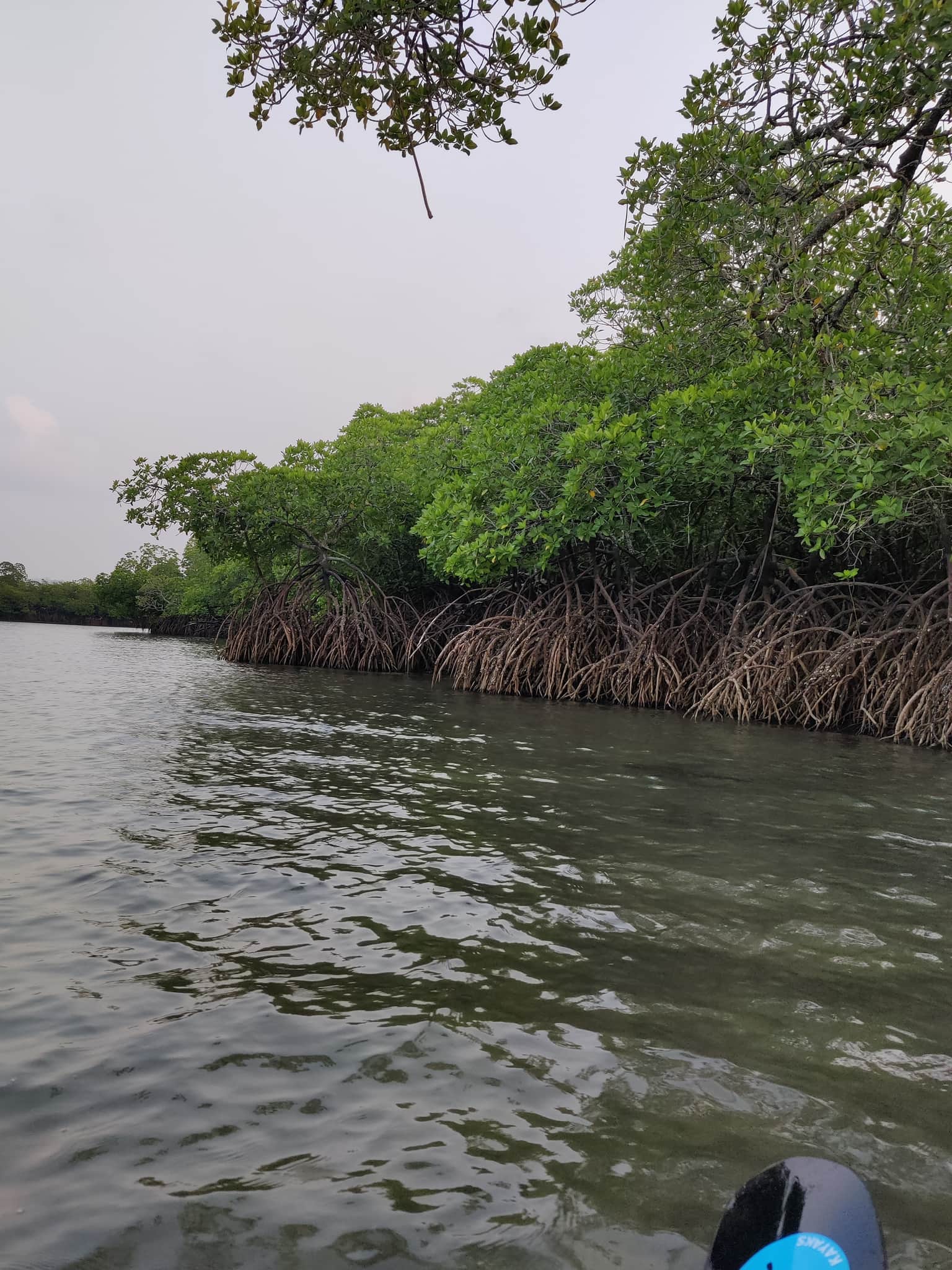 Photo from Manoj Narayan's trip