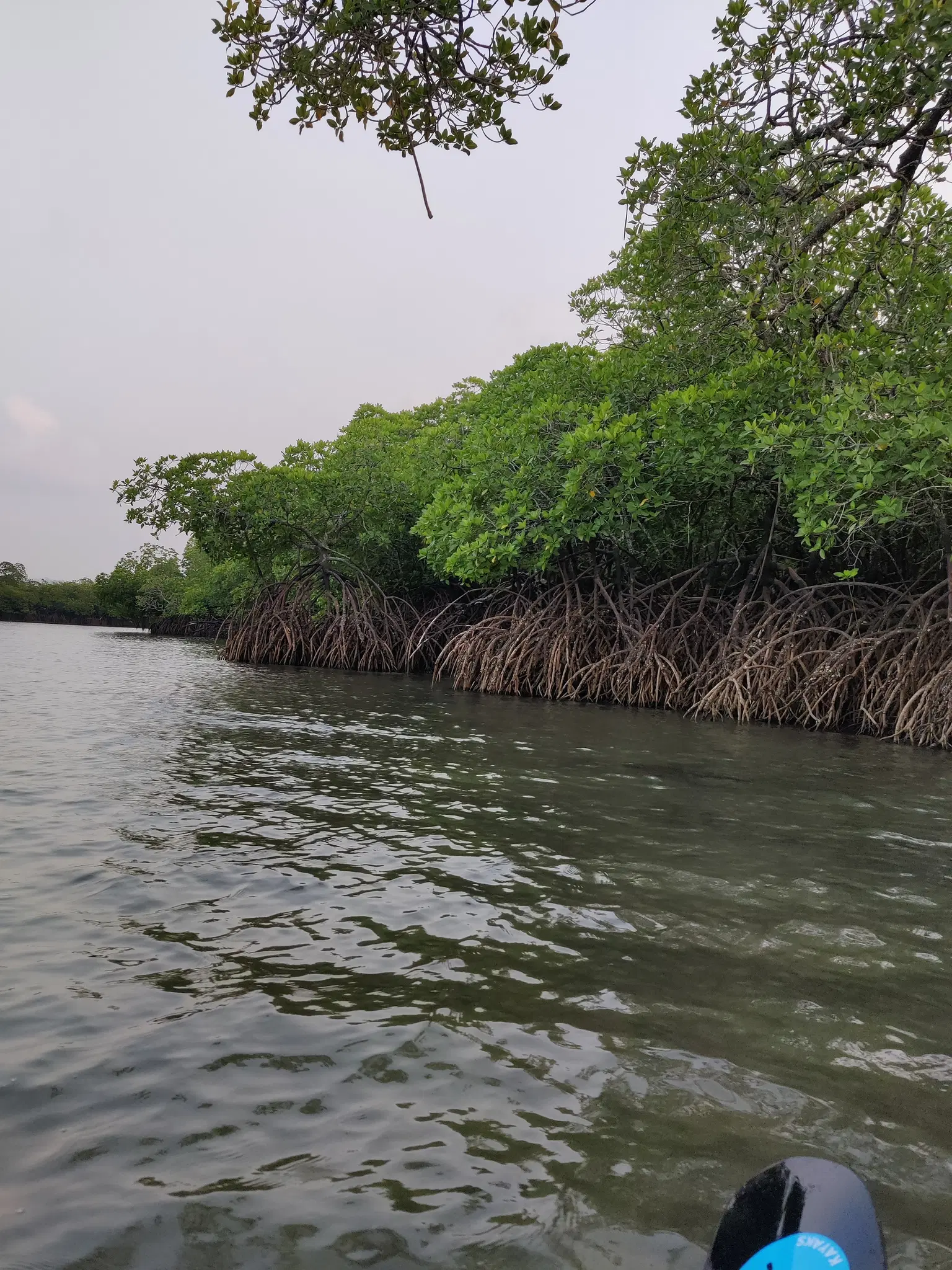 Photo from Manoj Narayan's trip