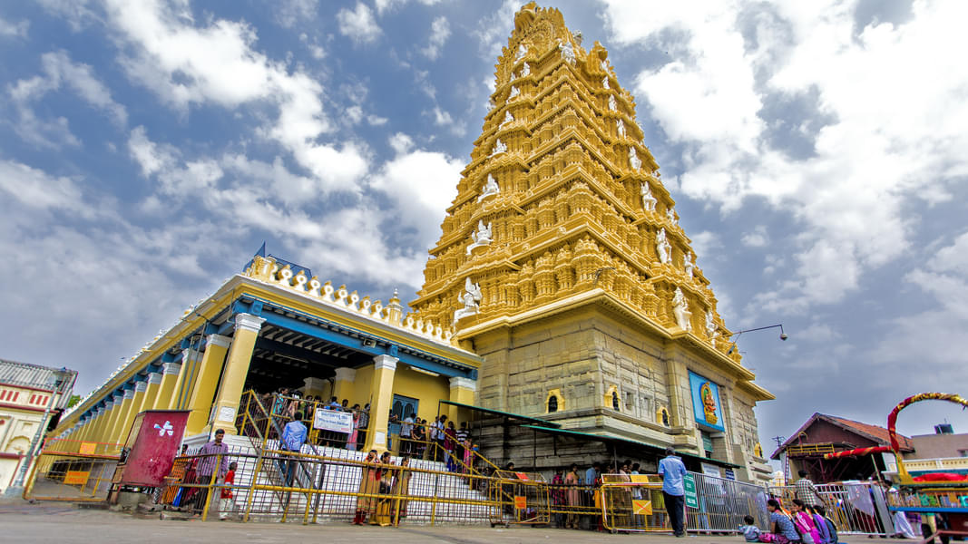Mysore Sightseeing Tour Image