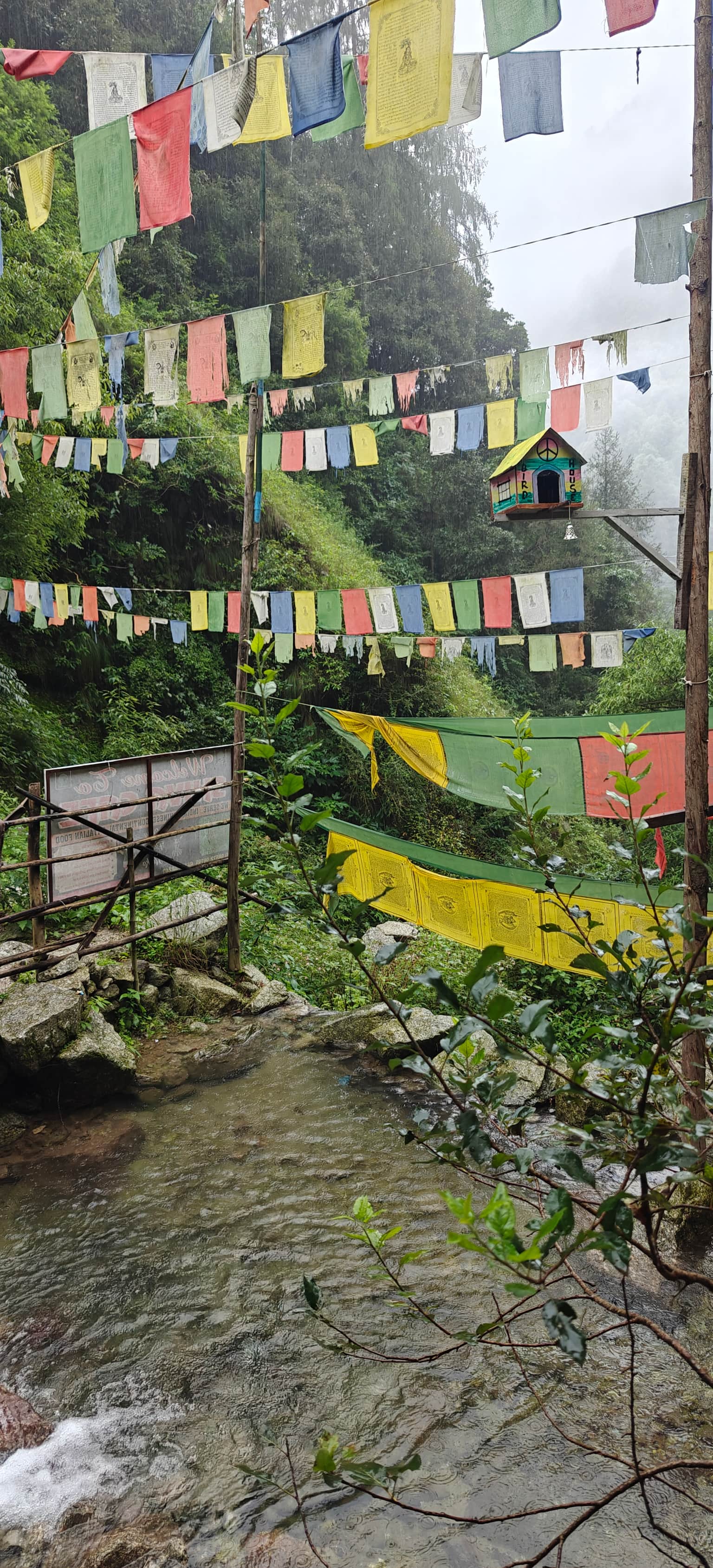 Photo from Ayushi Ojha's trip