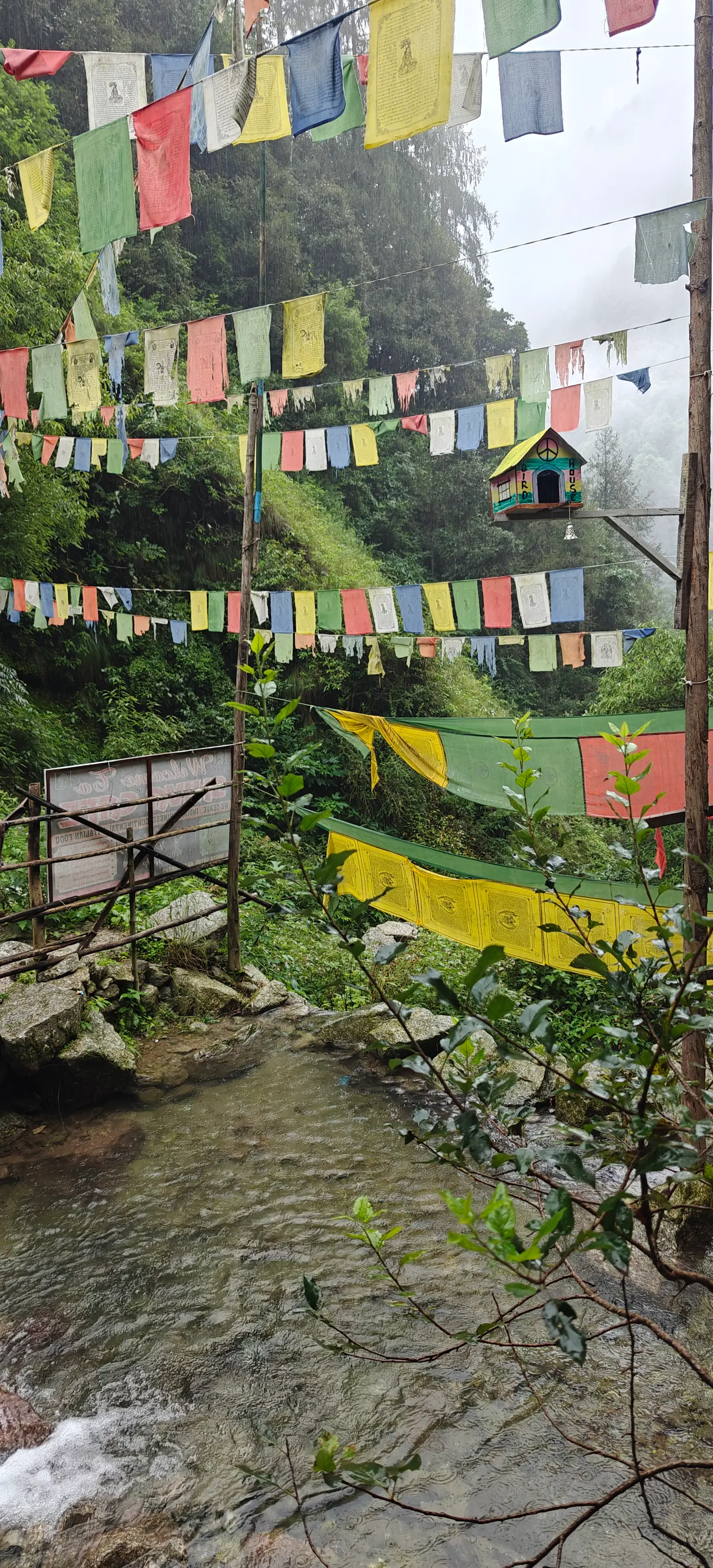 Photo from Ayushi Ojha's trip