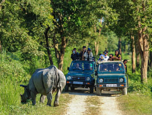 Kaziranga National Park